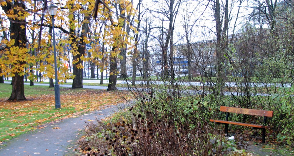 Rastplats enbart för cyklister